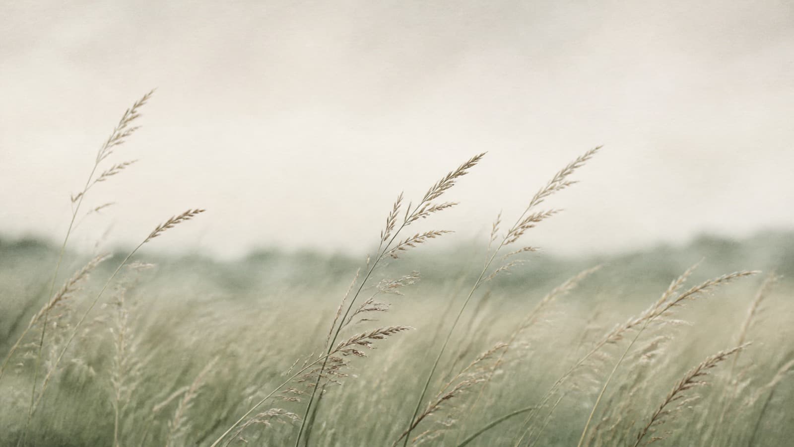 A still British landscape moment under soft overcast light, no people